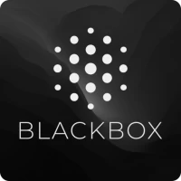 Blackbox AI Code Chat