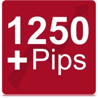 Forex Signals - Forex Strategy