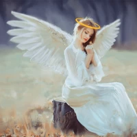 Angel Wings Photo Editor - Win