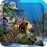 3D Aquarium Live Wallpaper HD