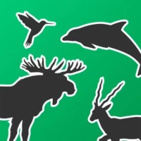 Живая Планета 4D