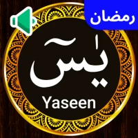 Surah Yaseen Audio Mp3 Offline